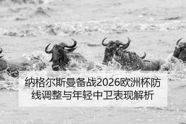 na-ge-er-si-man-bei-zhan-ou-zhou-bei-fang-xian-tiao-zheng-yu-nian-qing-zhong-wei-biao-xian-jie-xi-2-474.jpg