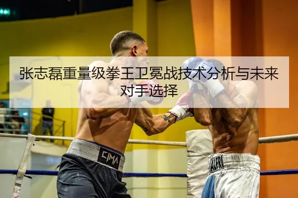 张志磊重量级拳王卫冕战技术分析与未来对手选择